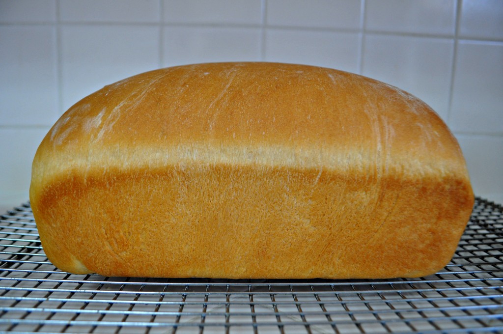 Some Background on Making Homemade Bread in the BOSCH - Kelly the