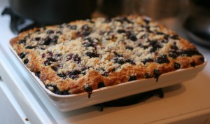 Blueberry Coffee Cake – Suz Daily